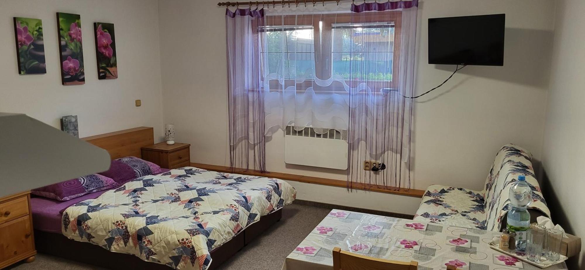 Privat Nika Hotell Závažná Poruba Rum bild